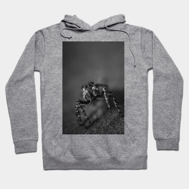 Scurry, Macro Jumping Spider Black and White Photo Hoodie by love-fi